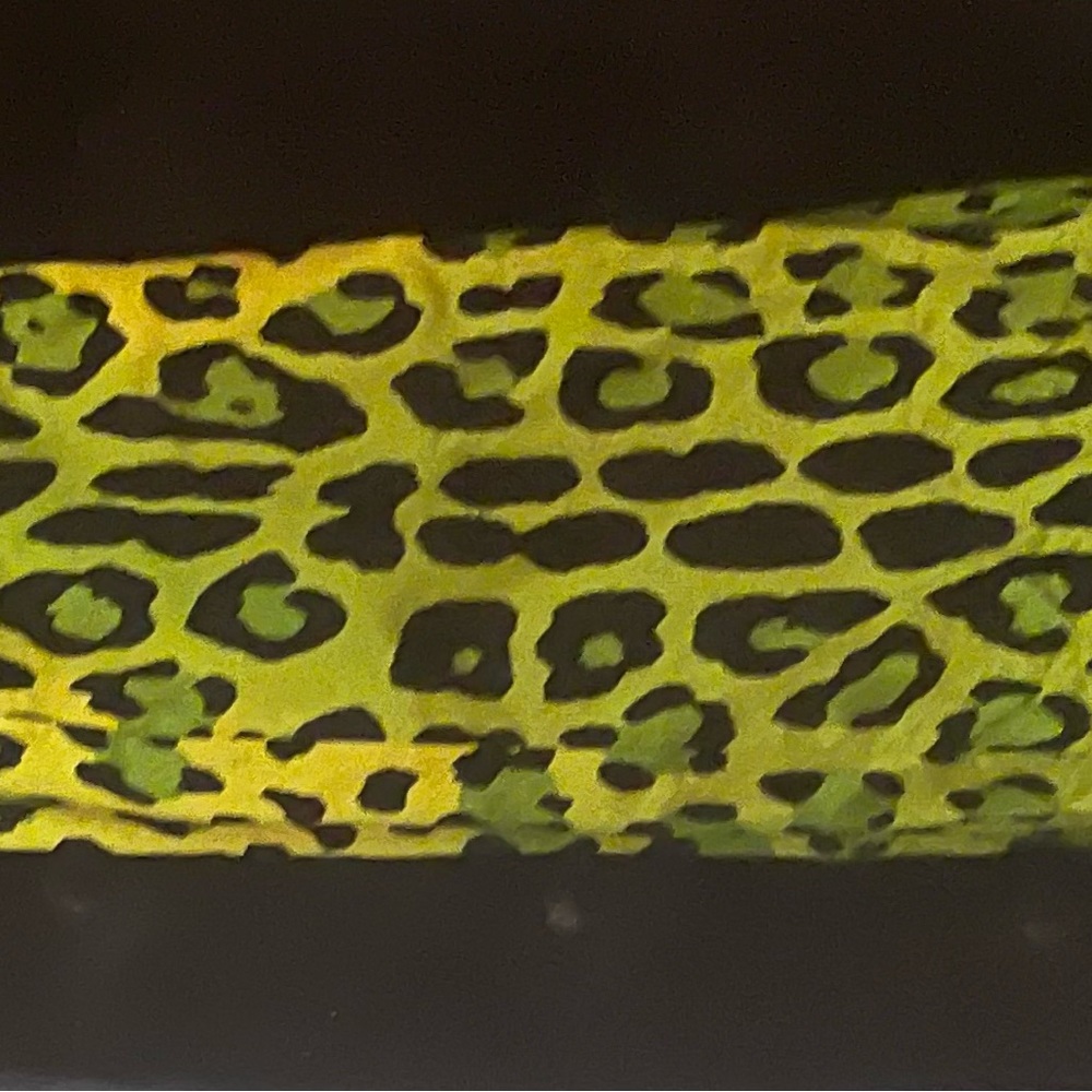 Tom ford leopard pants